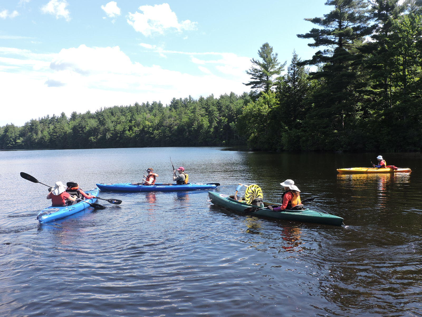 Adaptive kayaking at DAR State Forest Mass.gov